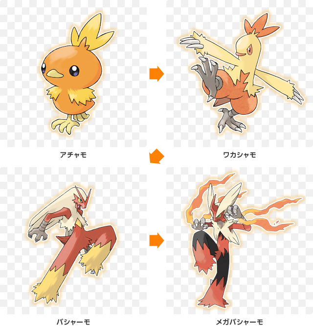 Torchic Evolve Chart