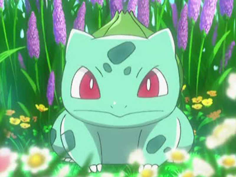 Bulbasaur joins Ash! | Pokémon: Indigo League | Official Clip - YouTube