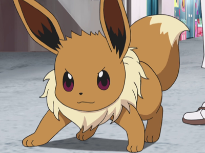 Eevee., Wiki