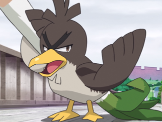 Viewing Character , pokemon farfetch'd 