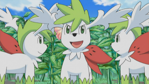 Pokemon Shaymin forma cielo 5