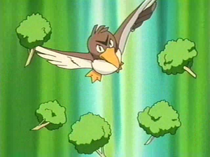 FARFETCH'D is like a SECOND RESTRICTED 