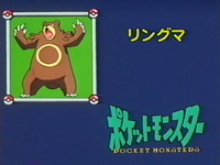 Episode Information Pocketmonsters Net