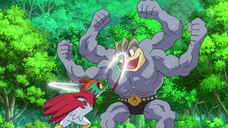 hawlucha vs machamp forest champion