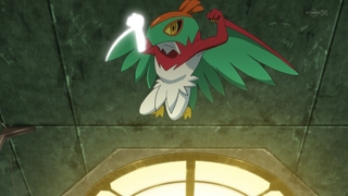 hawlucha flying press