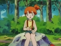 Pokemon Episode 49 Analysis – So Near, Yet So Farfetch'd