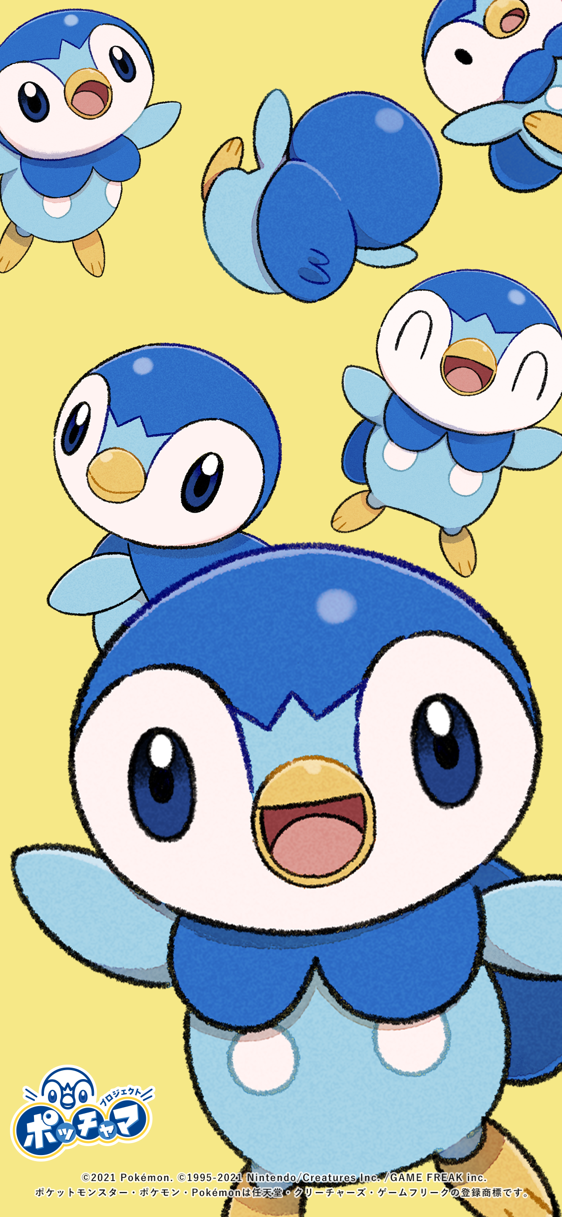 Pokemon PNG - pokemon  Pokemon, Piplup, Cute pokemon wallpaper