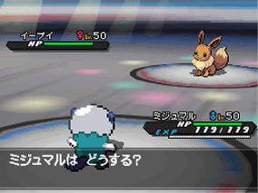 Pokémon Black 2 & Pokémon White 2 - Pokémon World Tournament