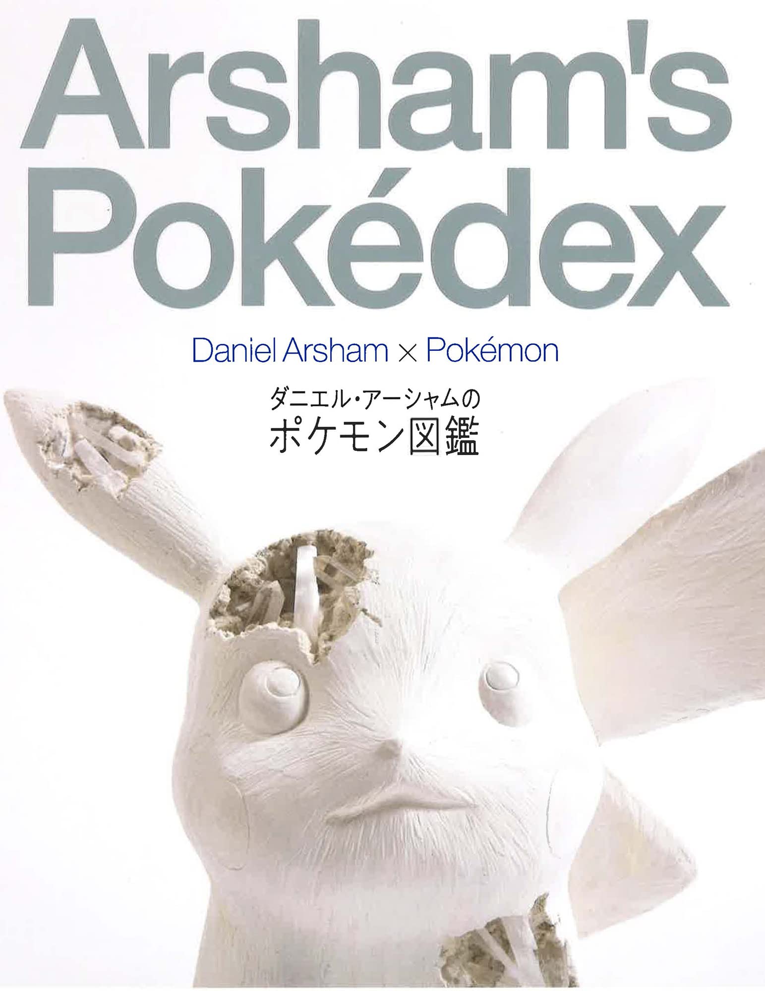 Daniel Arsham's Pokédex - PocketMonsters.Net