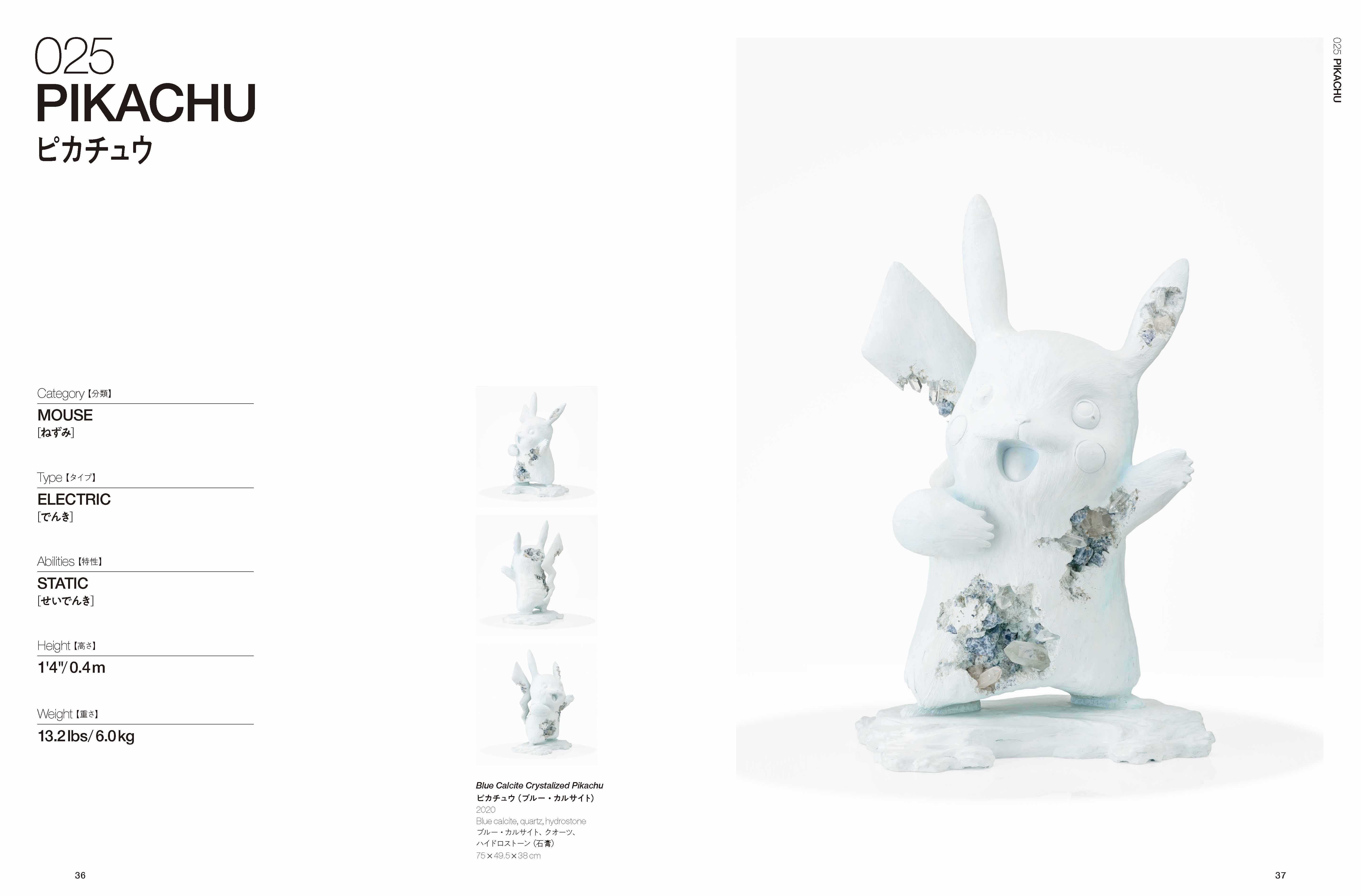 Daniel Arsham S Pokedex Pocketmonsters Net