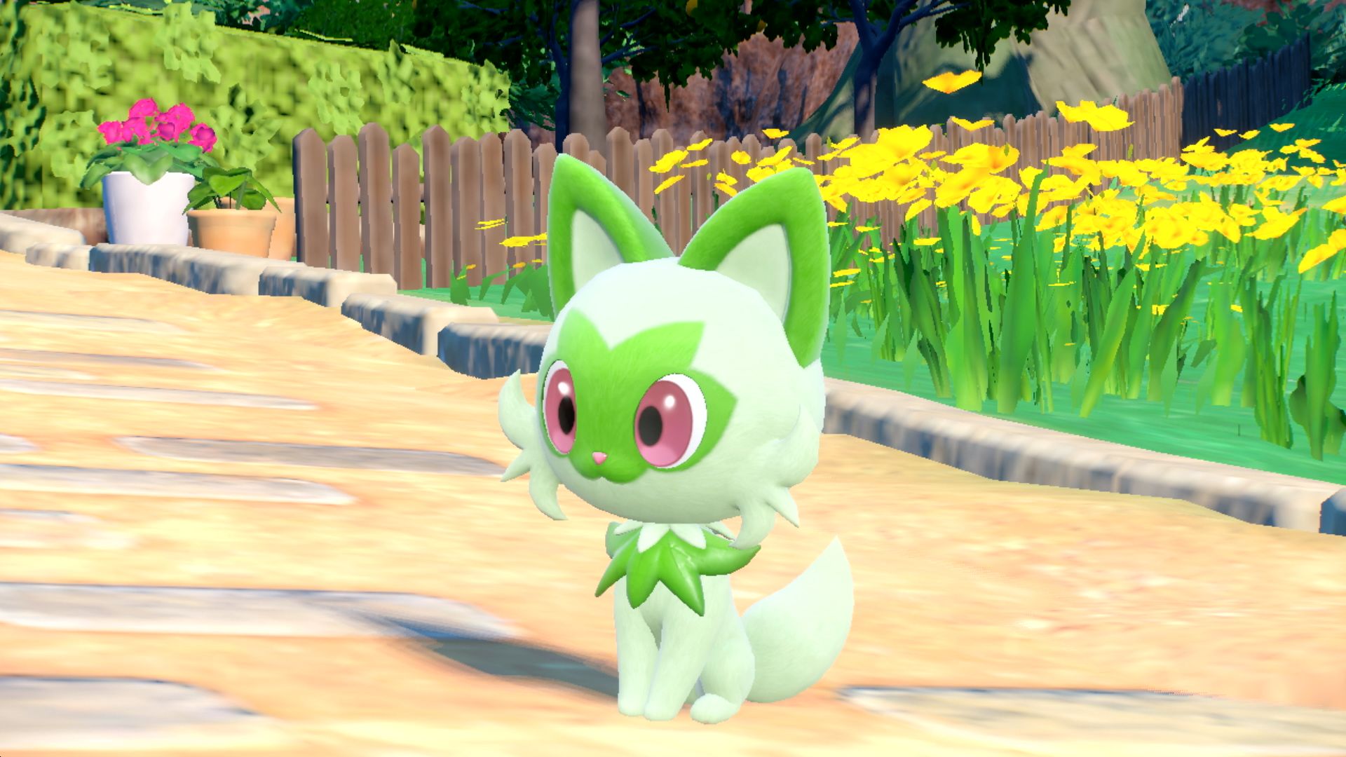 Jun Takashi - Pokémon Sword and Shield Starters