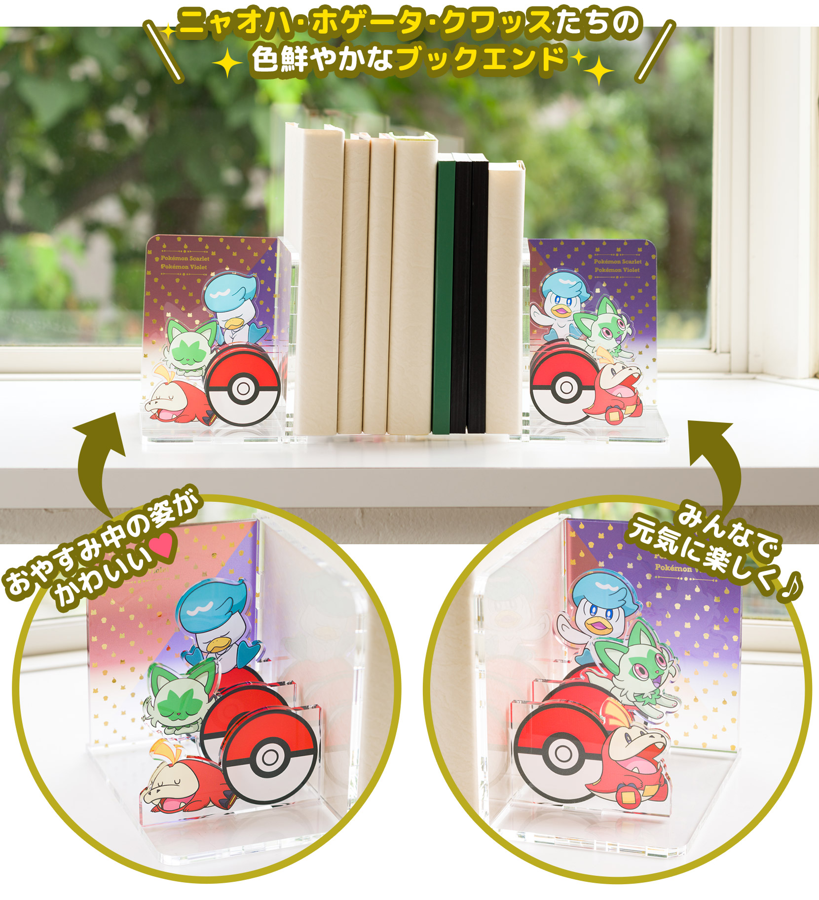 ポケモン レコード 予約deゲットキャンペーン | www.causus.be