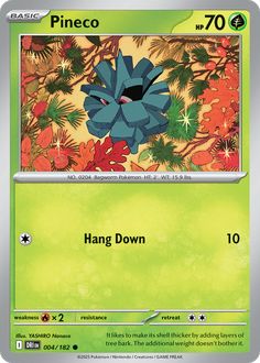 Card Face