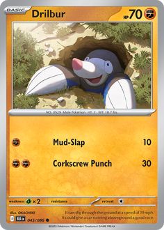 Card Face