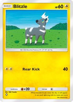 Card Face