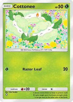 Card Face