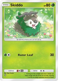 Card Face