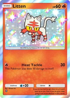Card Face