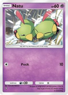 Card Face