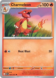 Card Face