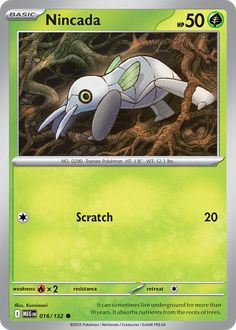 Card Face