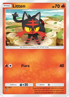 Card Face