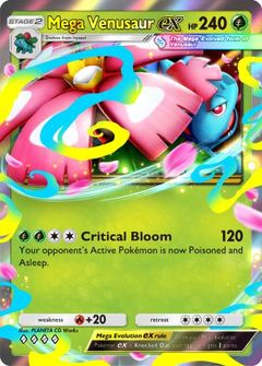 Card Face