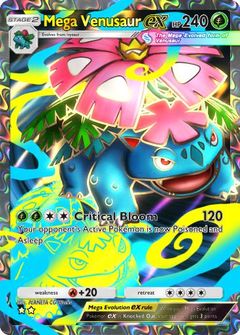 Card Face