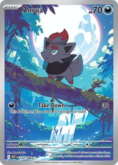 Card Face