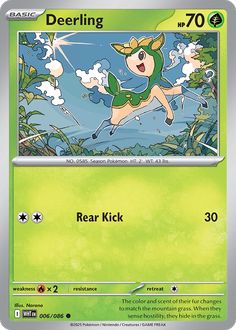 Card Face