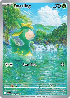 Card Face