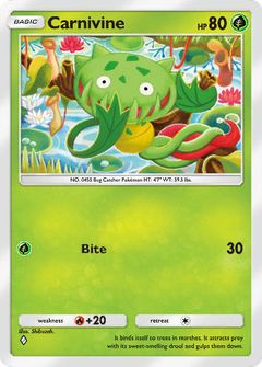 Card Face